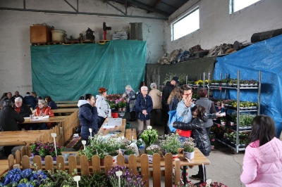 Blumenerdefest 2023_3
