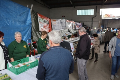 Blumenerdefest 2023_5