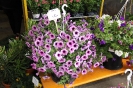 Blumenerdefest 2012_385