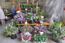 Blumenerdefest 2012_54