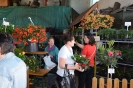 Blumenerdefest 2015_16