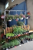 Blumenerdefest 2025_30