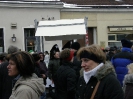 Faschingsumzug 2010_24