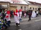 Faschingsumzug 2010_28