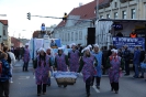 Faschingsumzug 2014_13