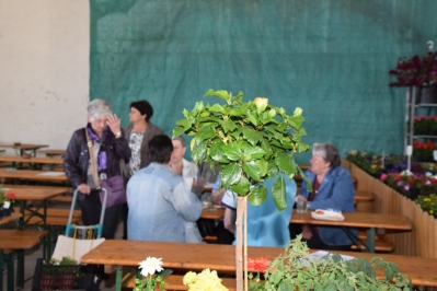 Blumenerdefest 2015_52