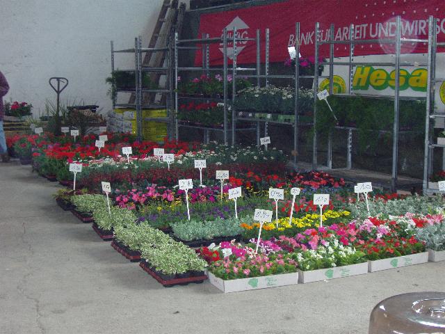 Blumen- Erdefest 2004
