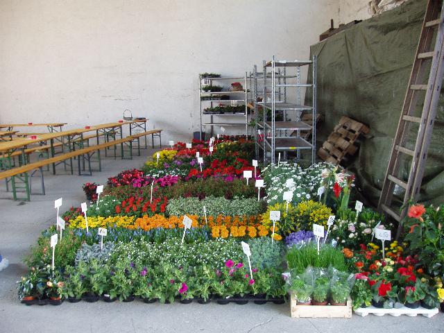 Blumen- Erdefest 2005