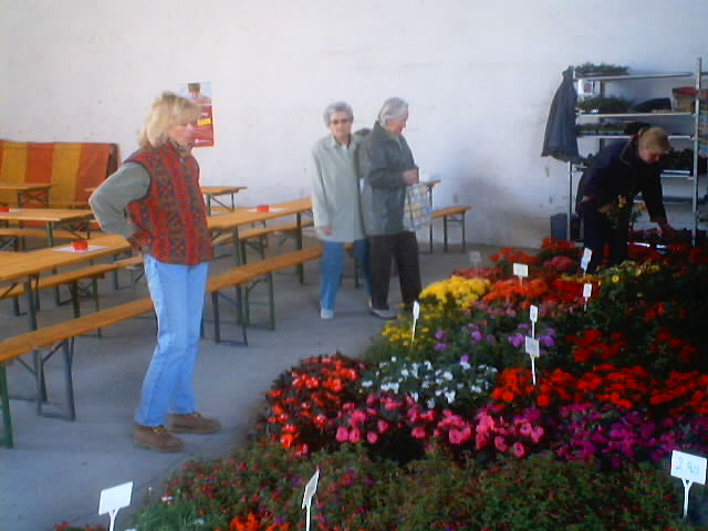 Blumen Erdefest 2005