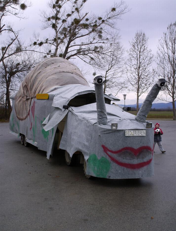 Faschingsumzug 2008