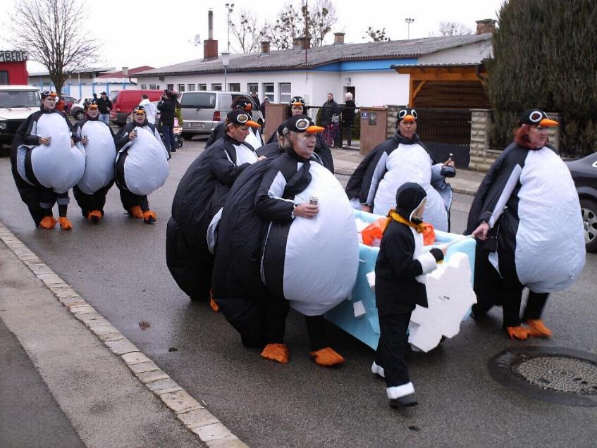 Faschingsumzug 2008